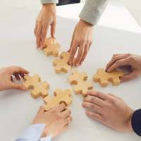 Our team